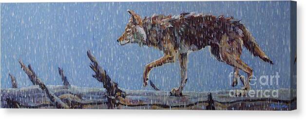 Coyote Canvas Print featuring the painting Apparition by Patricia A Griffin