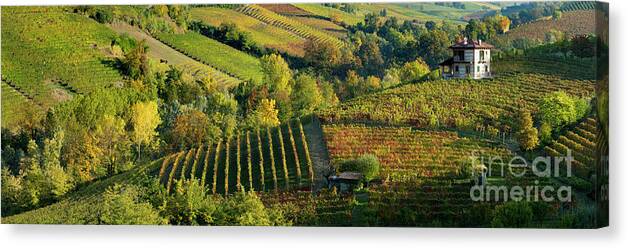 Barolo Canvas Print featuring the photograph Barolo Vineyards by Brian Jannsen
