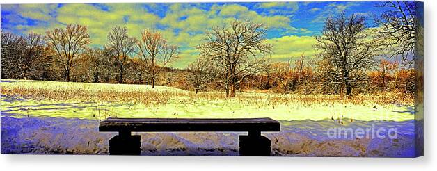 Bird Canvas Print featuring the photograph Bird Watchers Bench winter crabtree nature center cook county il by Tom Jelen
