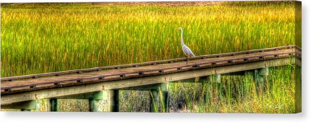 Beaufort Canvas Print featuring the photograph Blue Heron by E R Smith