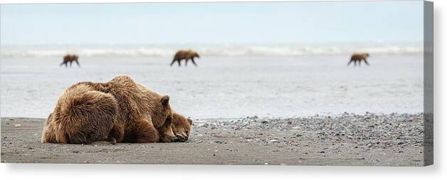 Lake Clark National Park Canvas Print featuring the photograph Down Time by Ann Skelton