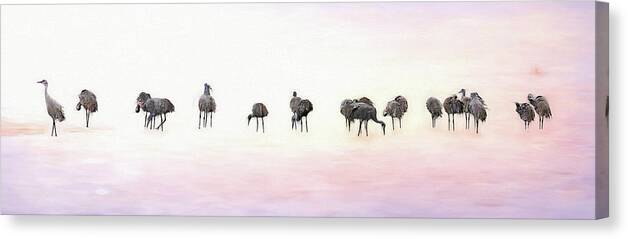Sandhill Cranes Canvas Print featuring the photograph Early Birds by Susan Rissi Tregoning