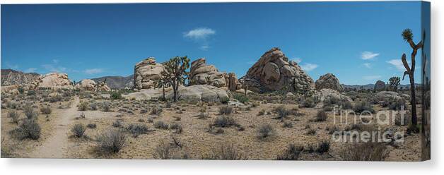 Joshua Tree National Park Canvas Print featuring the photograph Hiking In Joshua Tree Pano by Michael Ver Sprill