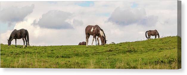 Horses Canvas Print featuring the photograph Horses and Clouds by D K Wall