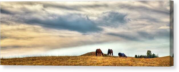 Landscape Canvas Print featuring the photograph Horses on the Palouse by David Patterson