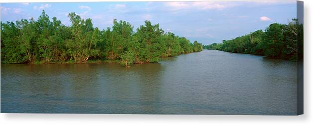 Photography Canvas Print featuring the photograph Lake Fausse Pointe State Park, Louisiana by Panoramic Images