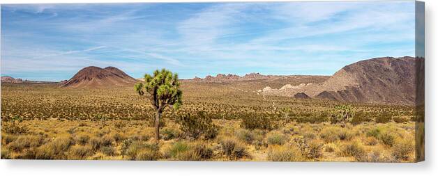 California Canvas Print featuring the photograph Lone Joshua Tree - Pleasant Valley by Peter Tellone