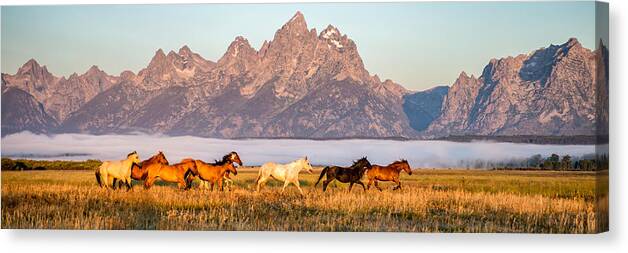 Grand Teton Canvas Print featuring the photograph Morning Roundup at Triangle X Ranch by Matt Hammerstein