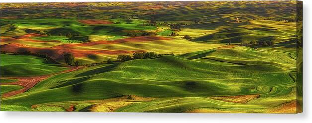 Palouse Canvas Print featuring the photograph Palouse by Thomas Hall
