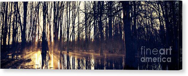 Sunrise Canvas Print featuring the photograph Silent Woods no 4 by RicharD Murphy