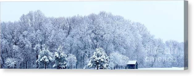 Ice Canvas Print featuring the photograph Snowy Solitude by Ty Shults