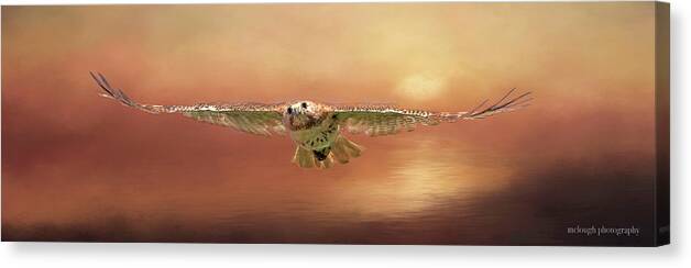 Osprey Canvas Print featuring the photograph Summer Soaring by Mary Clough