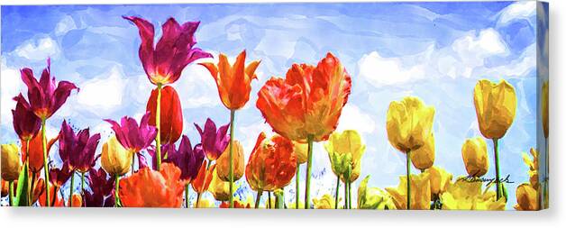 Color Canvas Print featuring the photograph Tulips in the Sun -2 by Alan Hausenflock