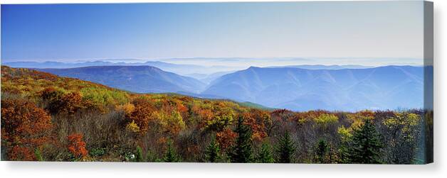 Photography Canvas Print featuring the photograph Dolly Sods Wilderness Area, Monongahela #1 by Panoramic Images