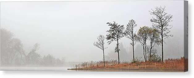 Misty Trees Canvas Print featuring the photograph Loch Ard Misty Autumn Morning by Grant Glendinning