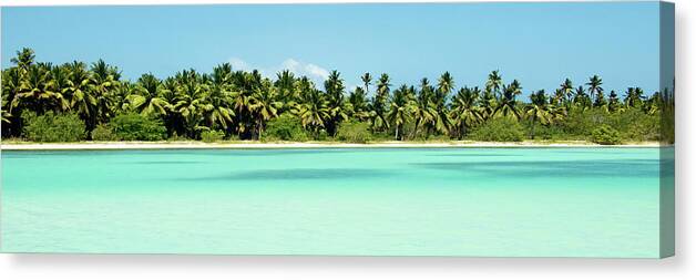Tropical Canvas Print featuring the photograph Tropical Pardise by Emily Navas