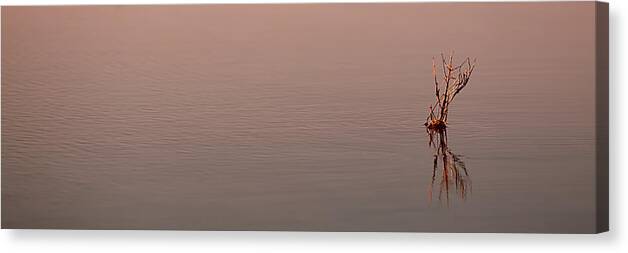 Water Canvas Print featuring the photograph Reflections by Brad Barton