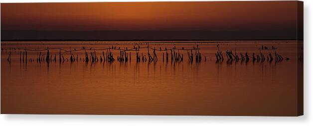 Europe Canvas Print featuring the photograph Sunset in Camargue by Nicolas Lombard