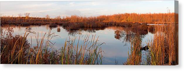 Preserve Canvas Print featuring the photograph Tillman Preserve by Don Nieman