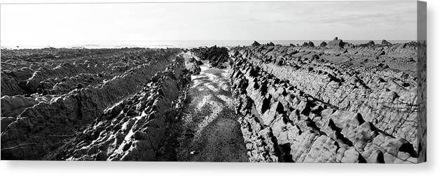 Coast Canvas Print featuring the photograph Welcombe Mouth beach North Devon South West Coast Path black and white 4 by Sonny Ryse