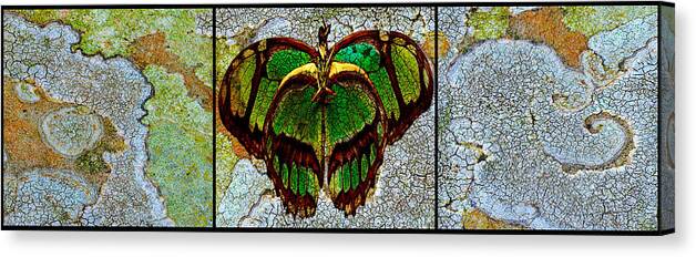 Nature Canvas Print featuring the photograph Metamorphic Muse by Fine Art Photography