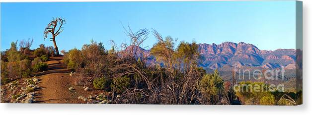 Bunyeroo Valley Wilpena Pound St Mary Peak Lookout Outback Landscape Landscapes Flinders Ranges South Australia Canvas Print featuring the photograph Bunyeroo Valley #2 by Bill Robinson