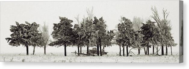Winter Canvas Print featuring the photograph In The Tree Line by Don Durfee