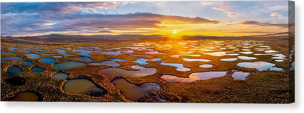 Wetland Canvas Print featuring the photograph Wetland by James Bian