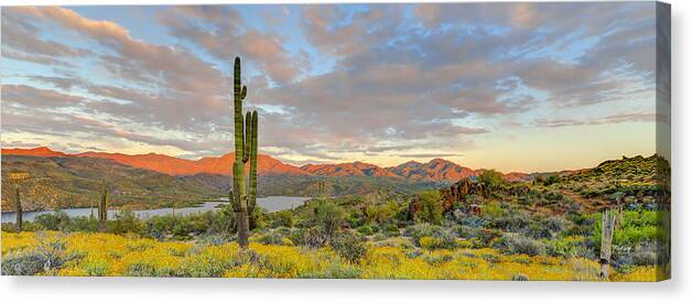 Cactus Canvas Print featuring the photograph Bartlett Lake Sunset by Fred J Lord