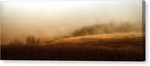 Romance Canvas Print featuring the photograph Bleak Autumn by Theresa Tahara