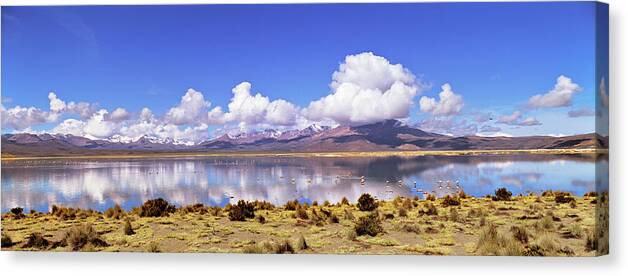 Altiplano Canvas Print featuring the photograph Salar De Surire (app 4300m by Martin Zwick
