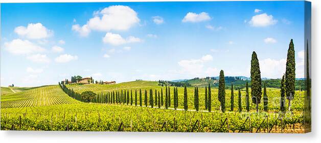 Vineyard Canvas Print featuring the photograph Scenic Italy by JR Photography