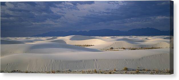 Feb0514 Canvas Print featuring the photograph Soaptree Yucca In Gypsum Dunes White by Konrad Wothe