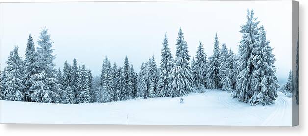 Scenics Canvas Print featuring the photograph Spruce Tree Forest Covered by Snow in Winter Landscape by VeryBigAlex