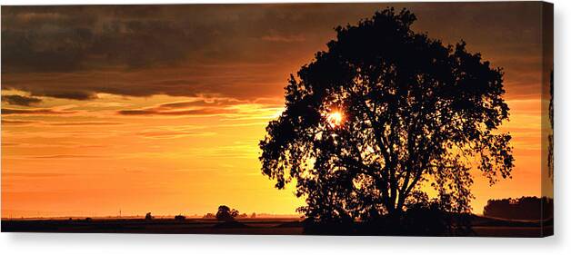 Sunset Canvas Print featuring the photograph Sunset in the Valley by Shawn McMillan