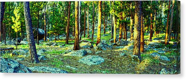 Morning Canvas Print featuring the photograph Devils Tower Morning by David Luebbert