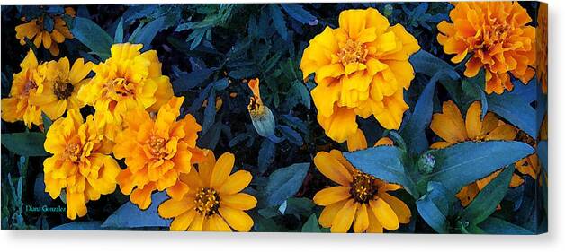 Flowers Canvas Print featuring the painting Goldies by Diana Valadez