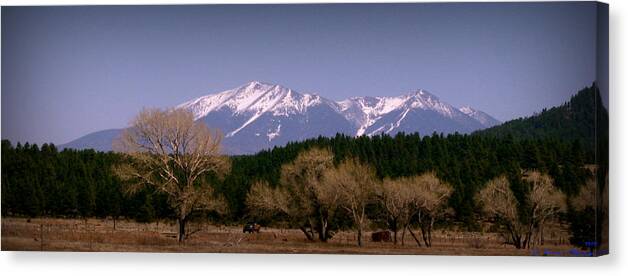 San Francisco Peaks Canvas Print featuring the photograph High Peaks of Arizona by Aaron Burrows