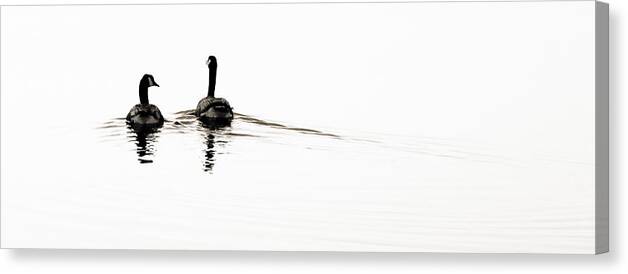 Goose Canvas Print featuring the photograph Zen Geese by Bob Coates
