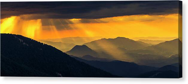 Balkan Mountains Canvas Print featuring the photograph Golden Rain by Evgeni Dinev