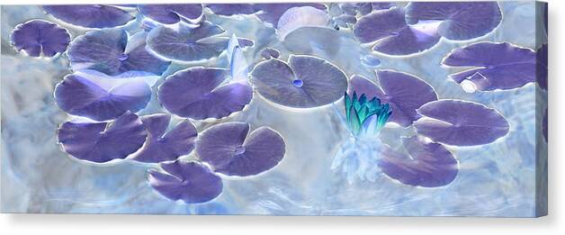 Water Lily Canvas Print featuring the photograph Water Lily Serenity by Leda Robertson