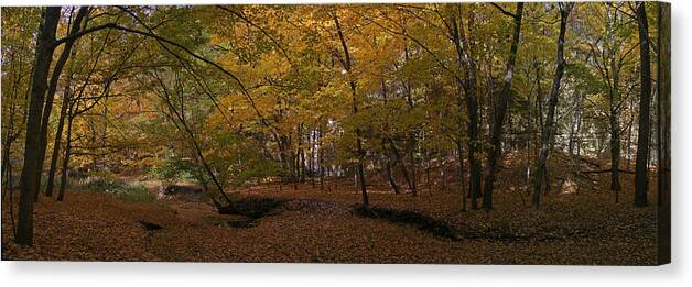 Forest Photographs Canvas Print featuring the photograph Illinois Canyon #3 by Gary Lobdell