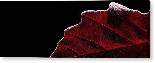 Autumn Canvas Print featuring the photograph Edge Of Autumn by Steven Milner