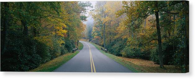 Photography Canvas Print featuring the photograph Trees Along A Road, Blue Ridge Parkway by Panoramic Images