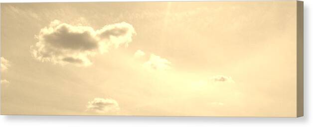 Turtles Canvas Print featuring the photograph Turtle Cloud Bliss by Carol Oufnac Mahan