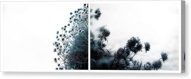 Wild Flowers Canvas Print featuring the photograph Andante by Dorit Fuhg