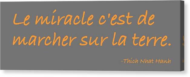 Thich Nhat Hanh Canvas Print featuring the digital art Le Miracle by Julie Niemela