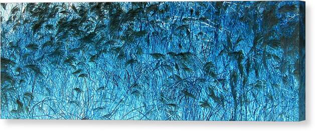 Grass Canvas Print featuring the photograph Waves of Blue by Eric Wait