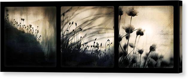 Grass Mood Triptych Wild Art Fineart Dorit Nature Canvas Print featuring the photograph Wild Things by Dorit Fuhg