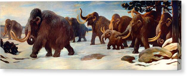 Painting Canvas Print featuring the painting Wooly Mammoths Near The Somme River by Mountain Dreams